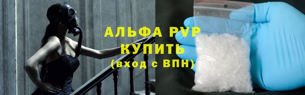 гашик Абинск