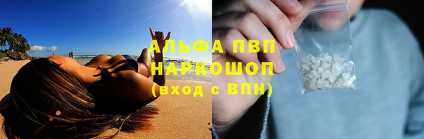 гашик Абинск