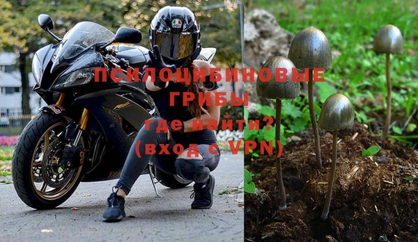 apvp Абдулино