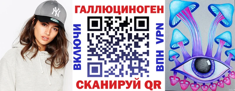 Галлюциногенные грибы Psilocybine cubensis  Динская 